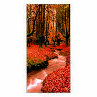 Tło fotograficzne Jesień liście drzewa 150x300 cm