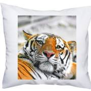 Poduszka prezent dla fana zwierząt z nadrukiem tygrys